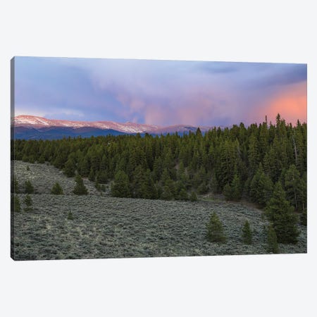 Mount Massive Wilderness Sunset Canvas Print #DSP290} by Dan Sproul Canvas Art Print