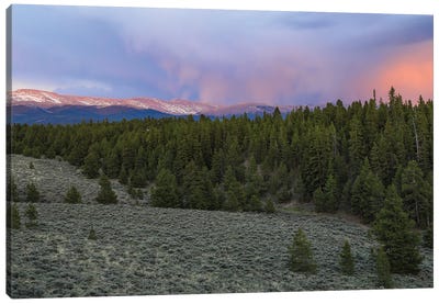 Mount Massive Wilderness Sunset Canvas Art Print - Dan Sproul