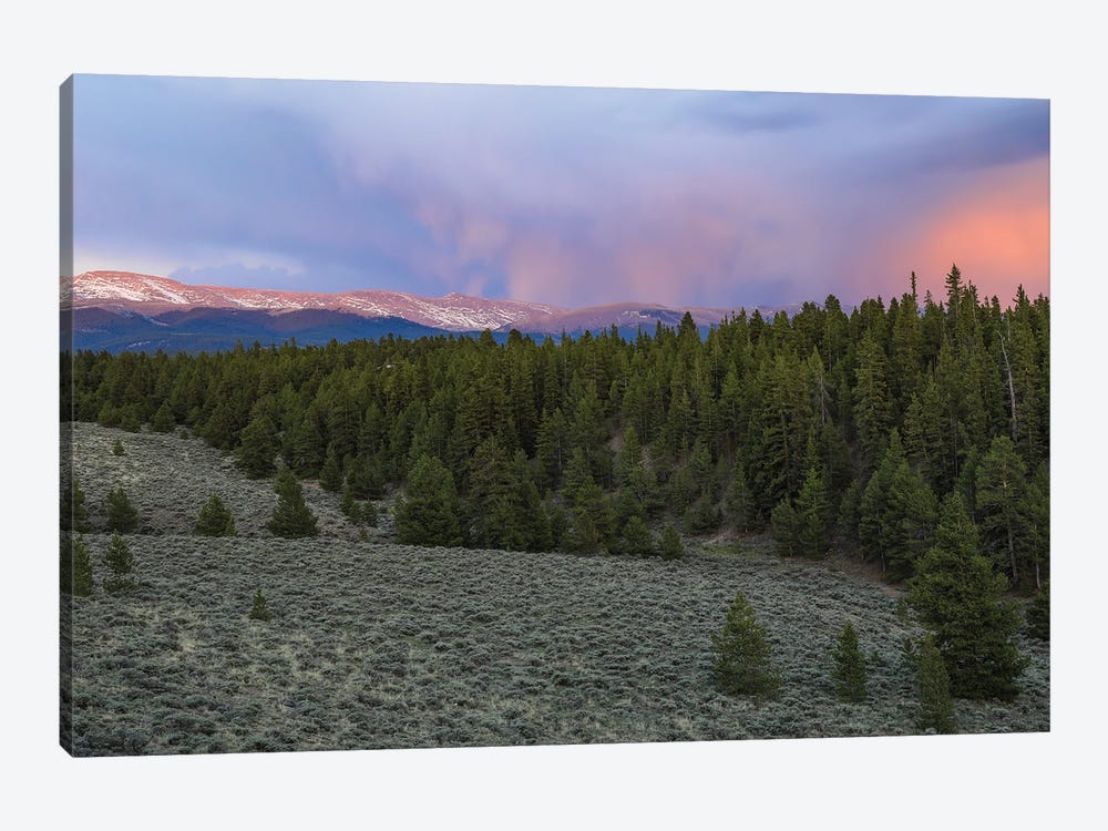 Mount Massive Wilderness Sunset by Dan Sproul 1-piece Art Print