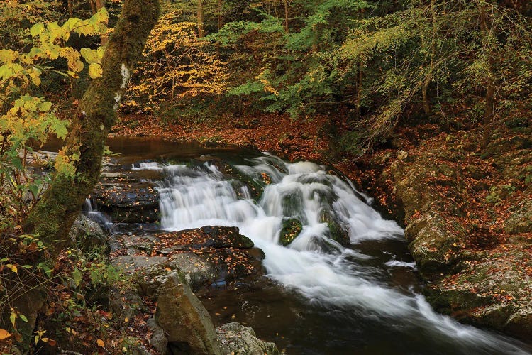 Smoky Mountains Waterfall In Autumn