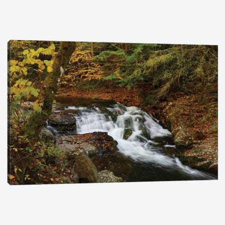 Smoky Mountains Waterfall In Autumn Canvas Print #DSP291} by Dan Sproul Art Print