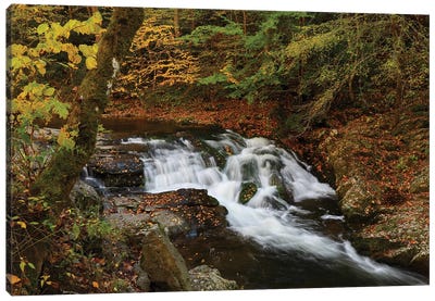 Smoky Mountains Waterfall In Autumn Canvas Art Print - Dan Sproul