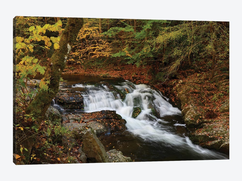 Smoky Mountains Waterfall In Autumn by Dan Sproul 1-piece Canvas Artwork