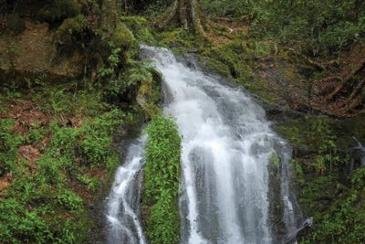 Painted Waterfall In The Smokies by Dan Sproul framed canvas print