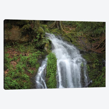 Painted Waterfall In The Smokies Canvas Print #DSP294} by Dan Sproul Canvas Art