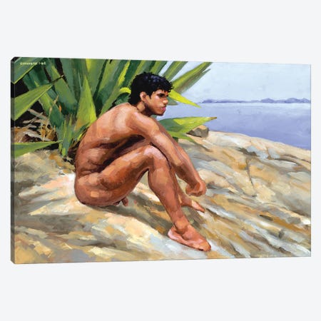 Costa Verde Canvas Print #DSS109} by Douglas Simonson Canvas Print