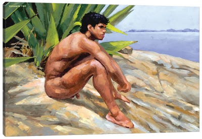 Costa Verde Canvas Art Print - Male Nude Art