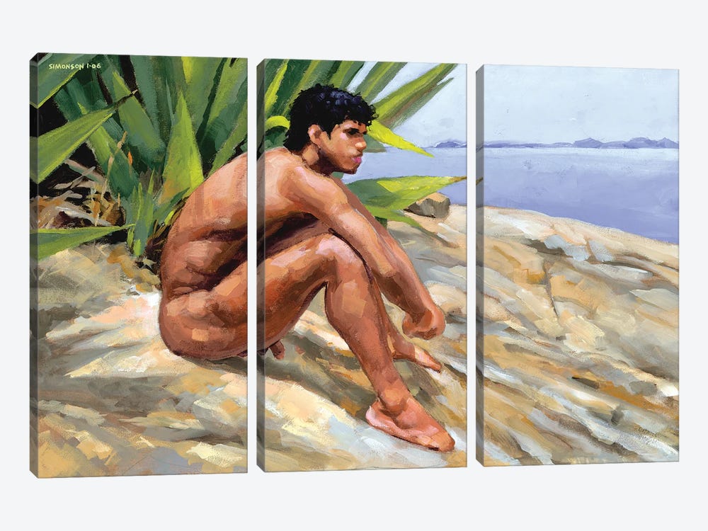 Costa Verde by Douglas Simonson 3-piece Canvas Print