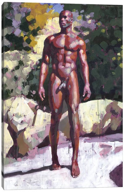 California Desert Canvas Art Print - Male Nude Art