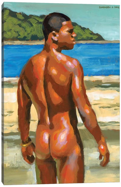 Colors Of Bahia Canvas Art Print - Douglas Simonson