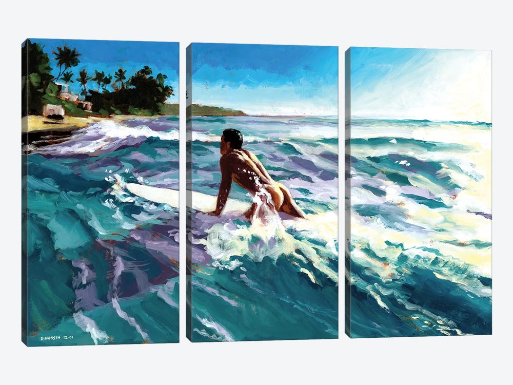 Surfer Coming In by Douglas Simonson 3-piece Canvas Wall Art