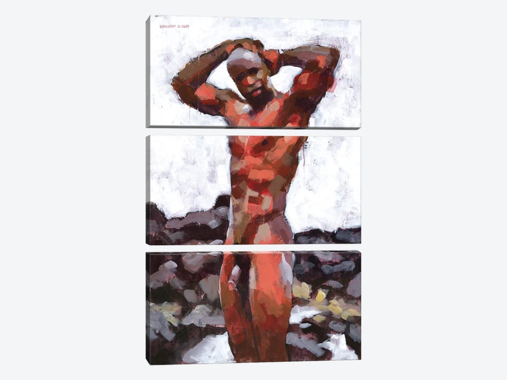 Black Male Nude In Lava Rocks by Douglas Simonson 3-piece Canvas Art Print