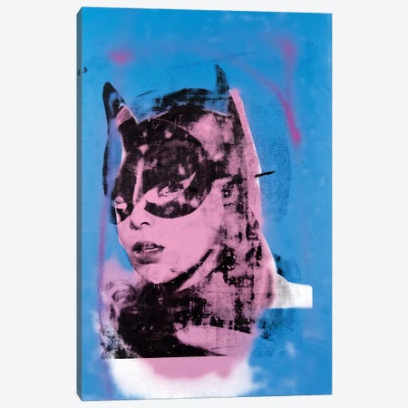 Batgirl, Yvonne Craig II Canvas Print #DSU29} by Dane Shue Canvas Print