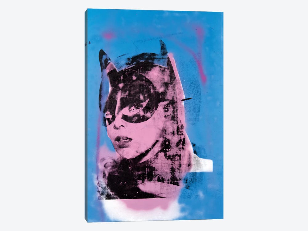 Batgirl, Yvonne Craig II by Dane Shue 1-piece Canvas Print