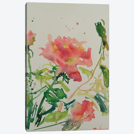 Solo Rose Canvas Print #DSV20} by Dina Aseeva Canvas Art