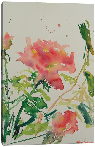 Solo Rose Canvas Art Print - Dina Aseeva