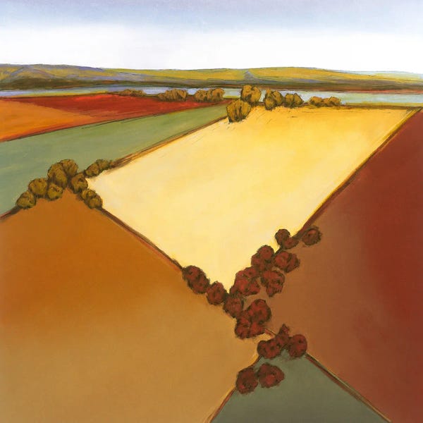 Don Bradshaw: The Plains I by Don Bradshaw