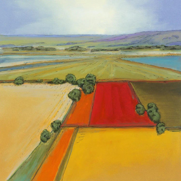 Open Field I by Don Bradshaw wall art