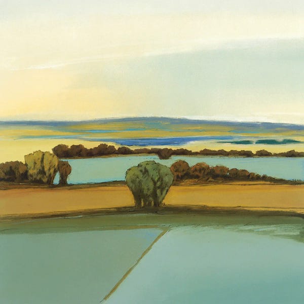 Ponds: Cool Morning II by Don Bradshaw