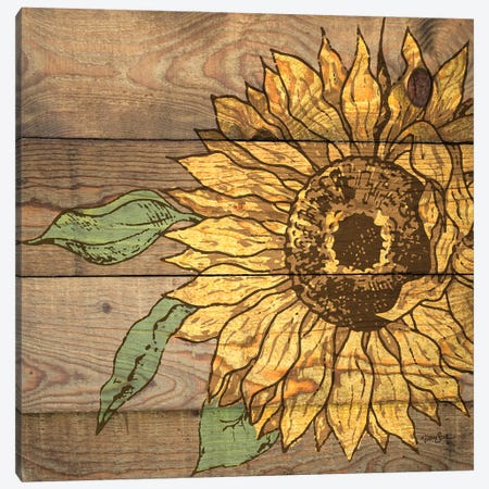 Rustic Sunflower I Canvas Print #DSZ10} by Diane Stimson Art Print