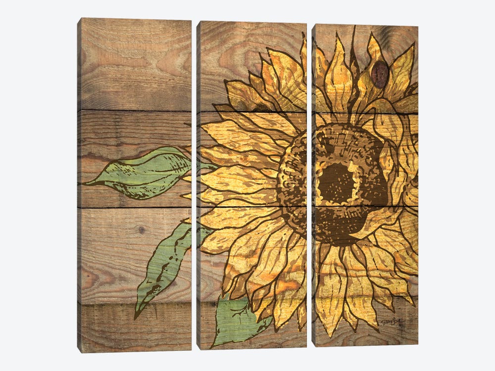 Rustic Sunflower I by Diane Stimson 3-piece Canvas Art Print