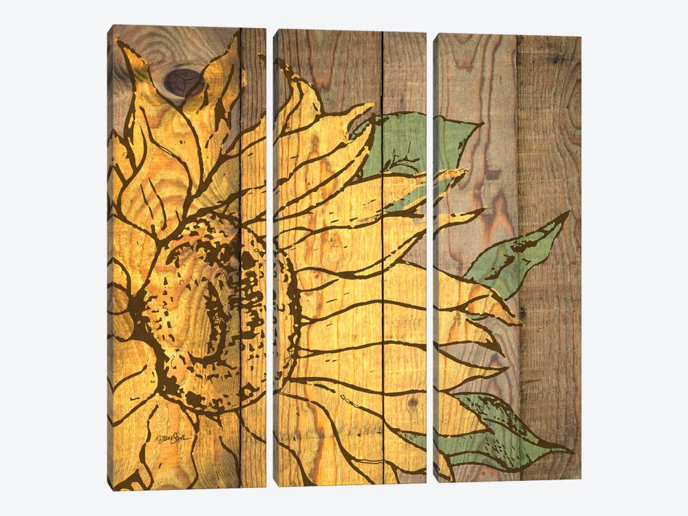 Rustic Sunflower II by Diane Stimson 3-piece Canvas Wall Art