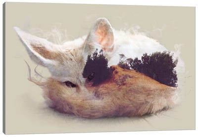 Desert Fox Canvas Art Print - Double Exposure Photography