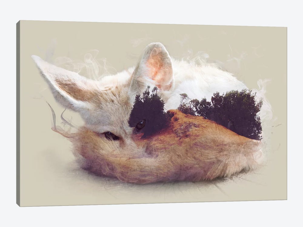 Desert Fox by Dániel Taylor 1-piece Art Print