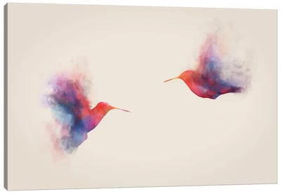 Hummingbirds Canvas Art Print - Dániel Taylor