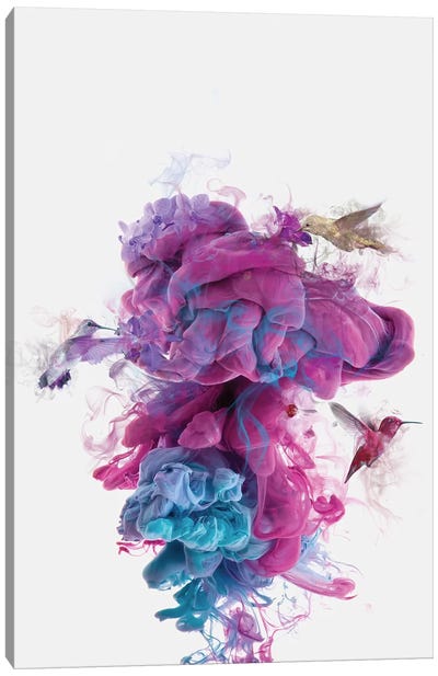Hummingbirds Ink Canvas Art Print - Beauty & Spa