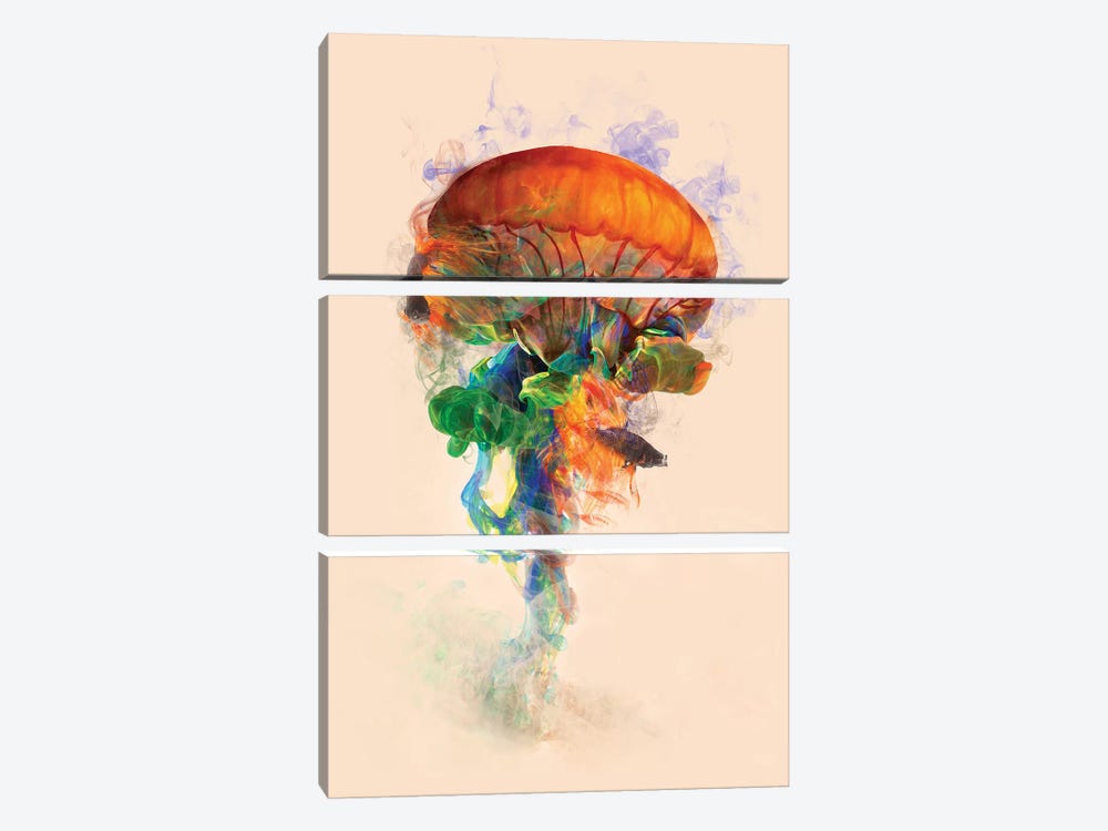 Jellyfish Ink by Dániel Taylor 3-piece Canvas Art