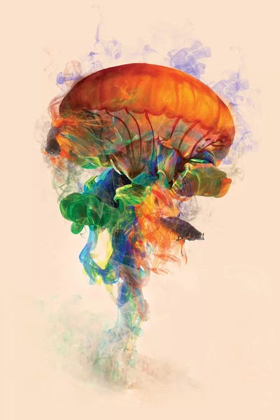 Jellyfish: Jellyfish Ink by Dániel Taylor