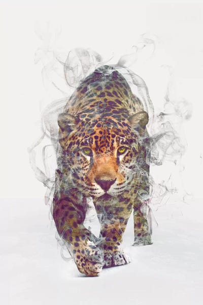 Dániel Taylor: Leopard by Dániel Taylor