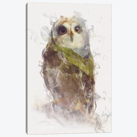 Owl Canvas Print #DTA34} by Dániel Taylor Canvas Artwork