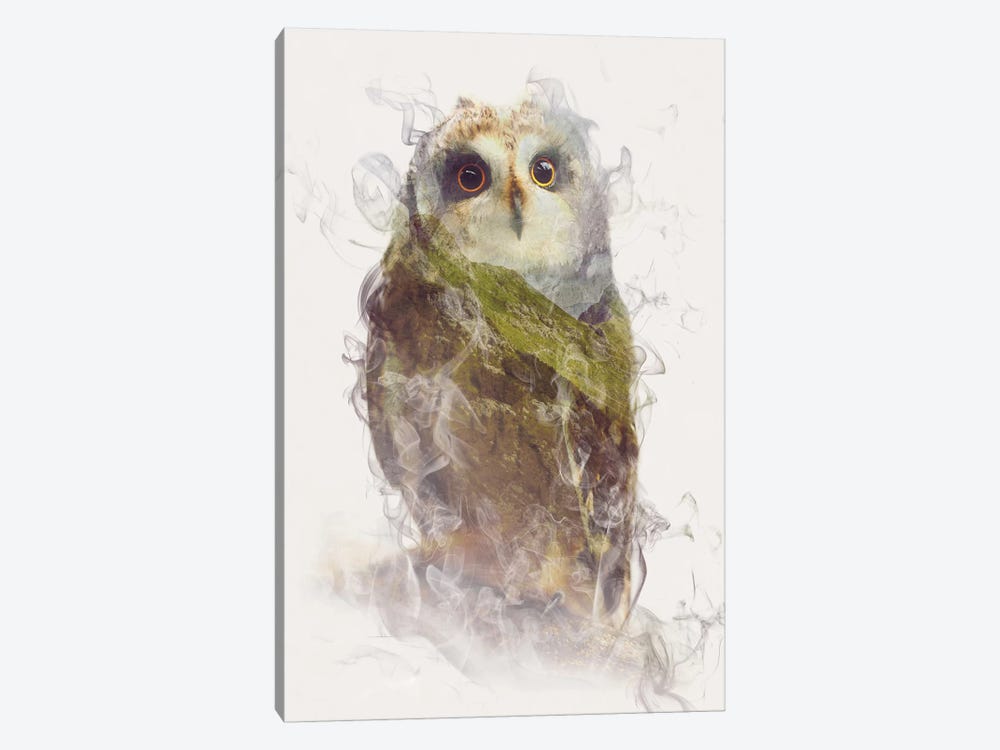 Owl by Dániel Taylor 1-piece Canvas Print