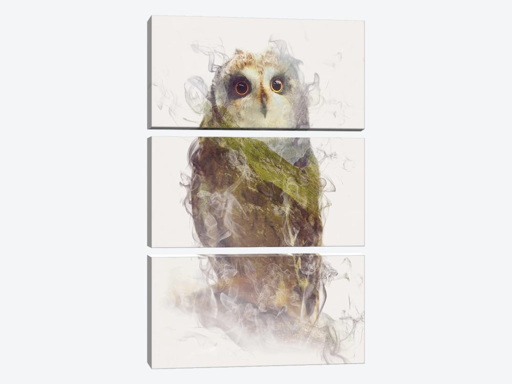 Owl by Dániel Taylor 3-piece Canvas Print