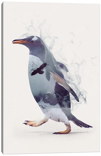 Penguin Dreams Canvas Art Print - Dániel Taylor