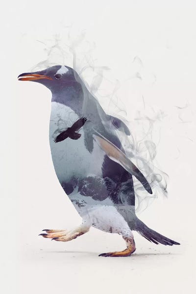 Dániel Taylor: Penguin Dreams by Dániel Taylor