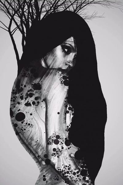 Dániel Taylor: Shadow Play by Dániel Taylor
