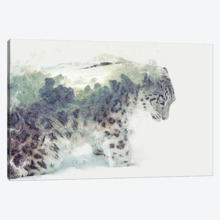 Snow Leopard Canvas Print #DTA39} by Dániel Taylor Canvas Print