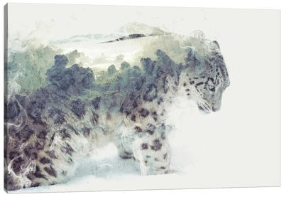 Snow Leopard Canvas Art Print - Snowscape Art