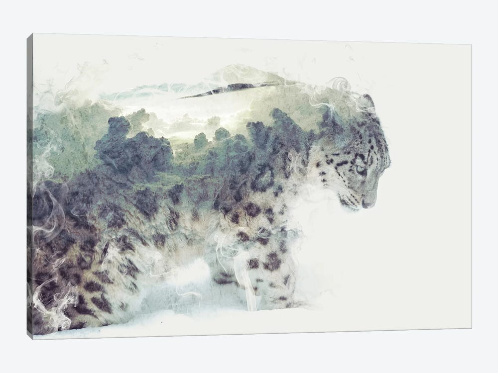 Snow Leopard by Dániel Taylor 1-piece Canvas Wall Art