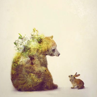 Spring by Dániel Taylor framed canvas print