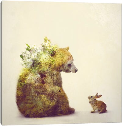 Spring Canvas Art Print - Bear Art