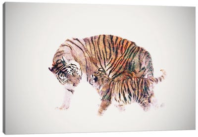 Stay With Me Canvas Art Print - Tiger Art