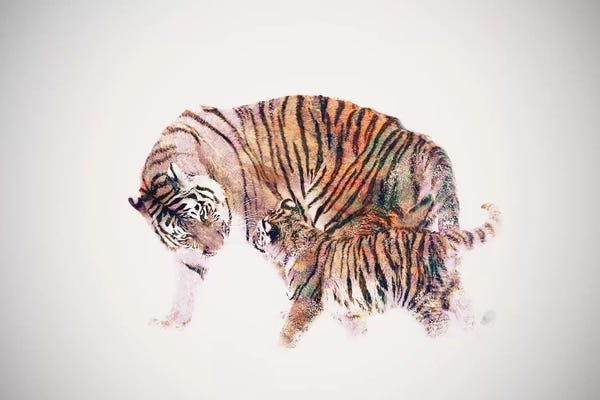 Tigers: Stay With Me by Dániel Taylor