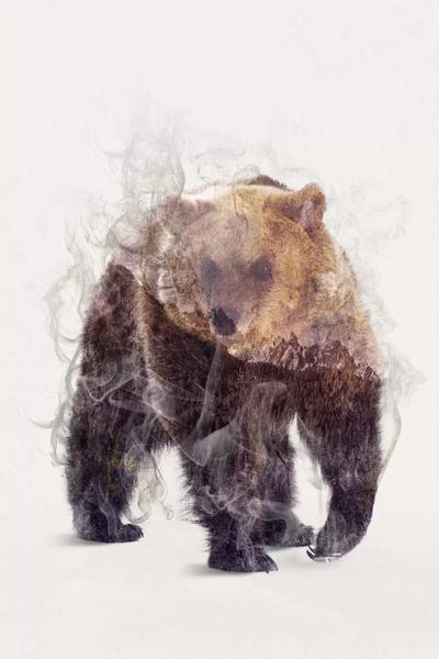 The Bear by Dániel Taylor framed canvas print