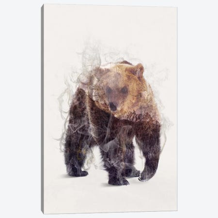 The Bear Canvas Print #DTA43} by Dániel Taylor Canvas Art