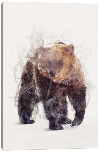 The Bear Canvas Art Print - Dániel Taylor