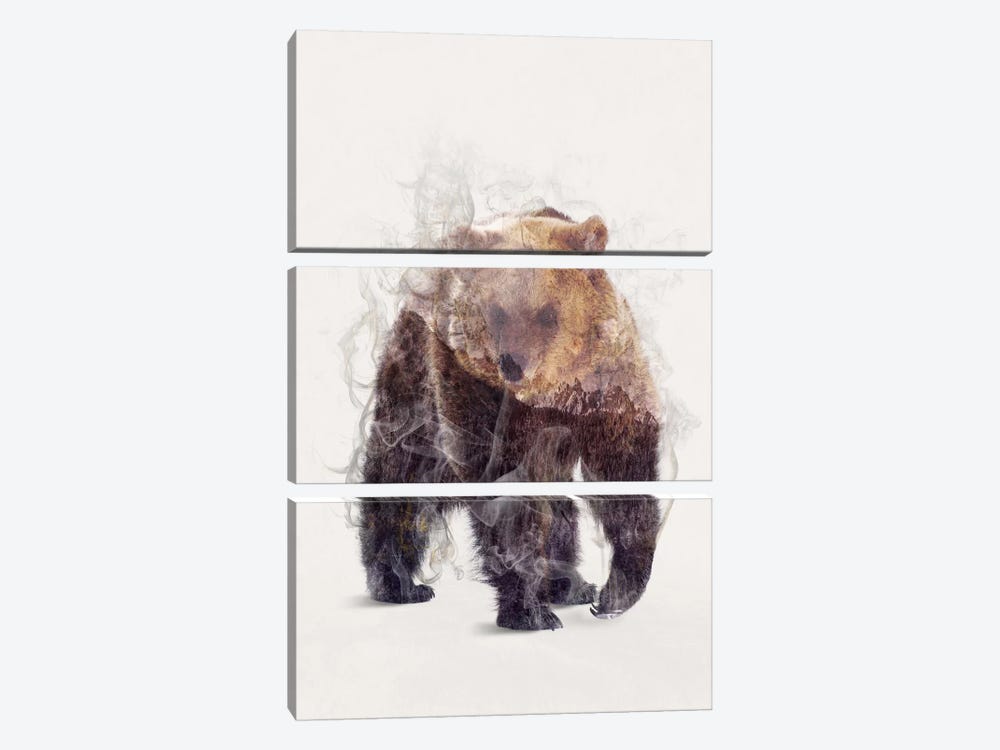 The Bear by Dániel Taylor 3-piece Canvas Art Print